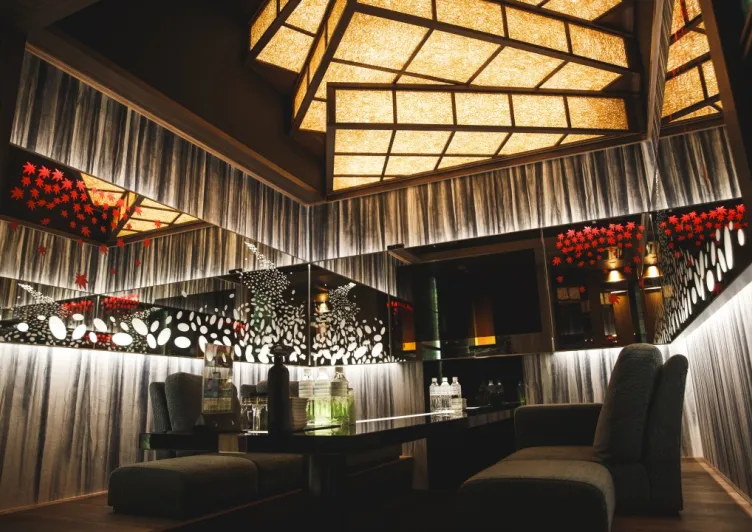 VIP ROOM2