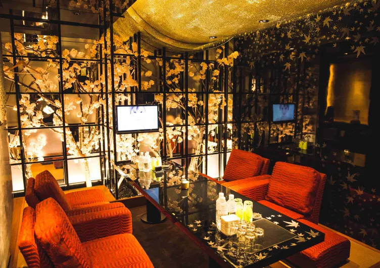 VIP ROOM1