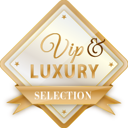 VIP 認定店